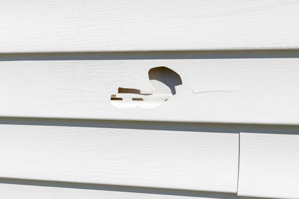 Best Siding for New Construction  in Rexland Acres, CA